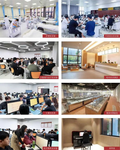 廣東酒店管理職業(yè)技術(shù)學院2024年春季高考餐飲管理專業(yè)詳解 開啟酒店服務(wù)業(yè)職業(yè)新篇章
